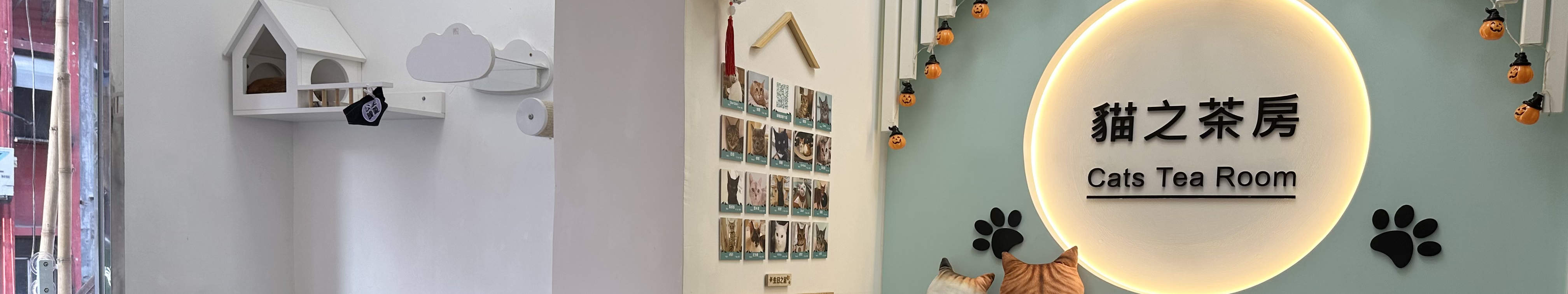 Tea with Cats in Cats Tea Room Hong Kong Cat Cafe Tsuen Wan Tsim